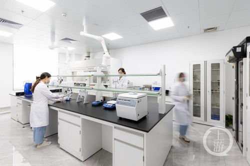 新式茶饮迈入科技新篇章 行业首个专业食品营养与科学研究中心成立